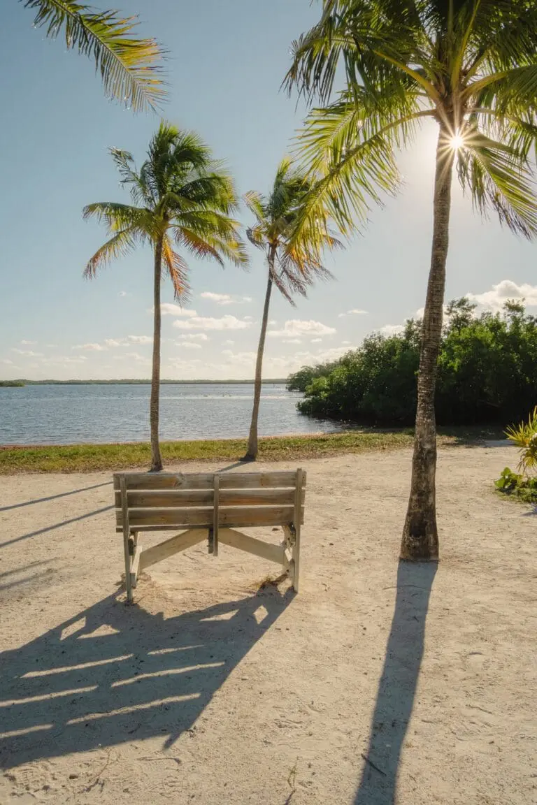 things to do in key largo