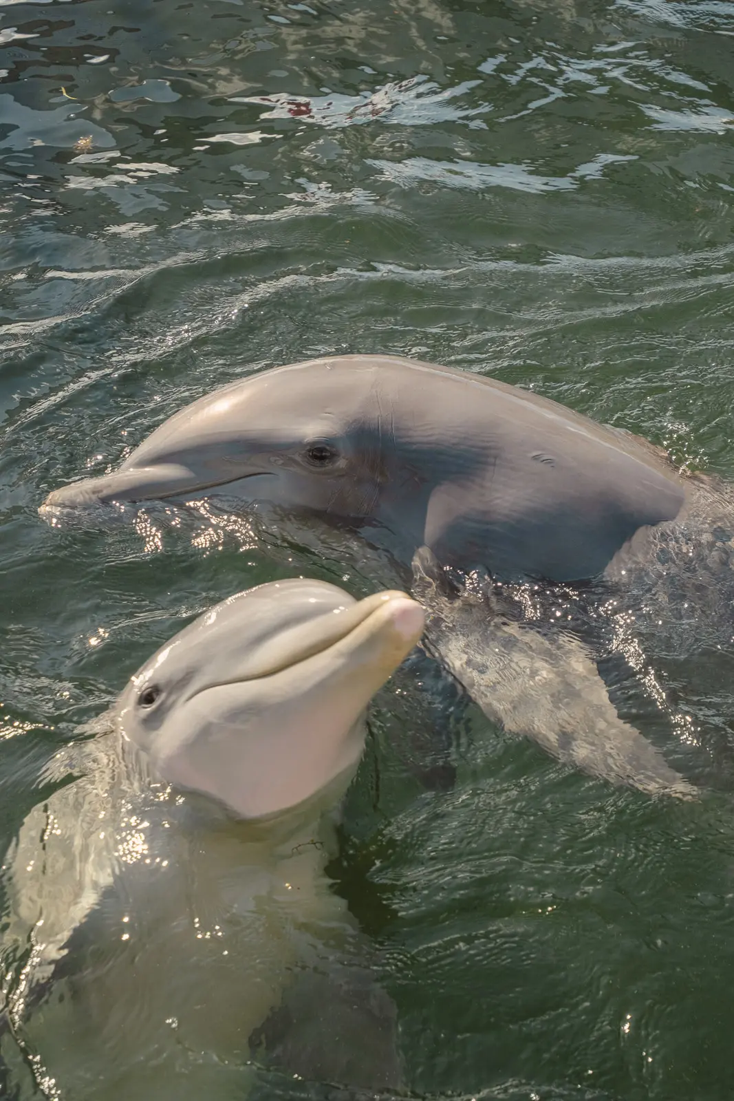 things to do in key largo