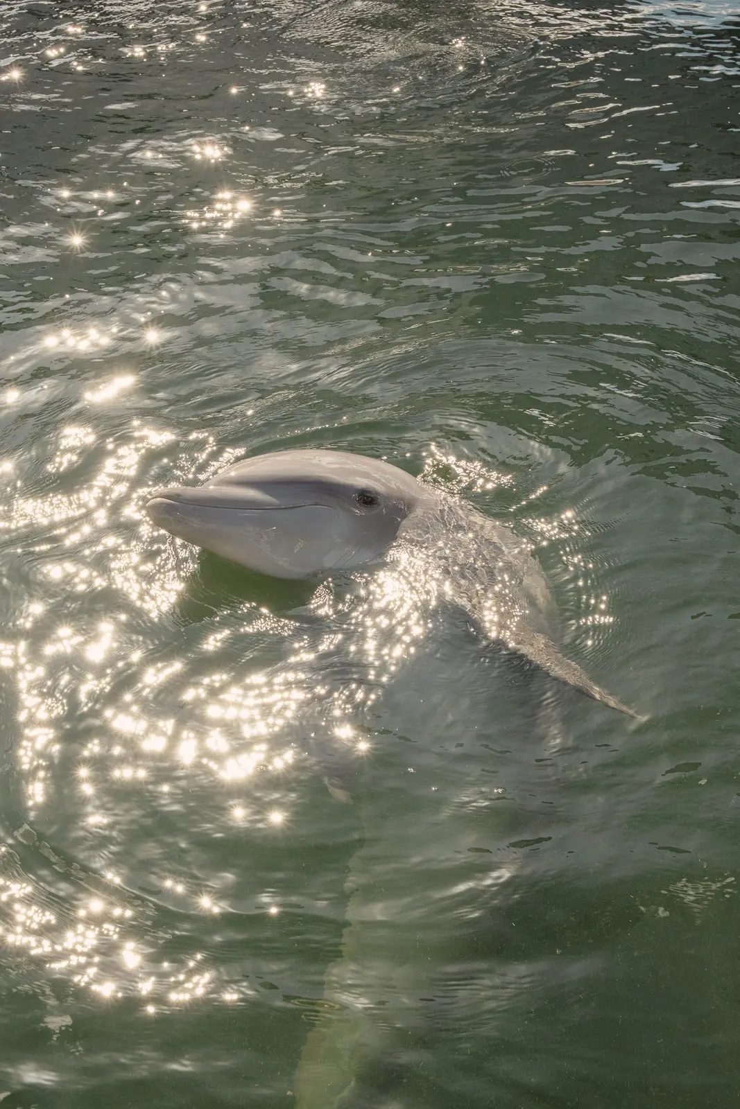 miami to key largo