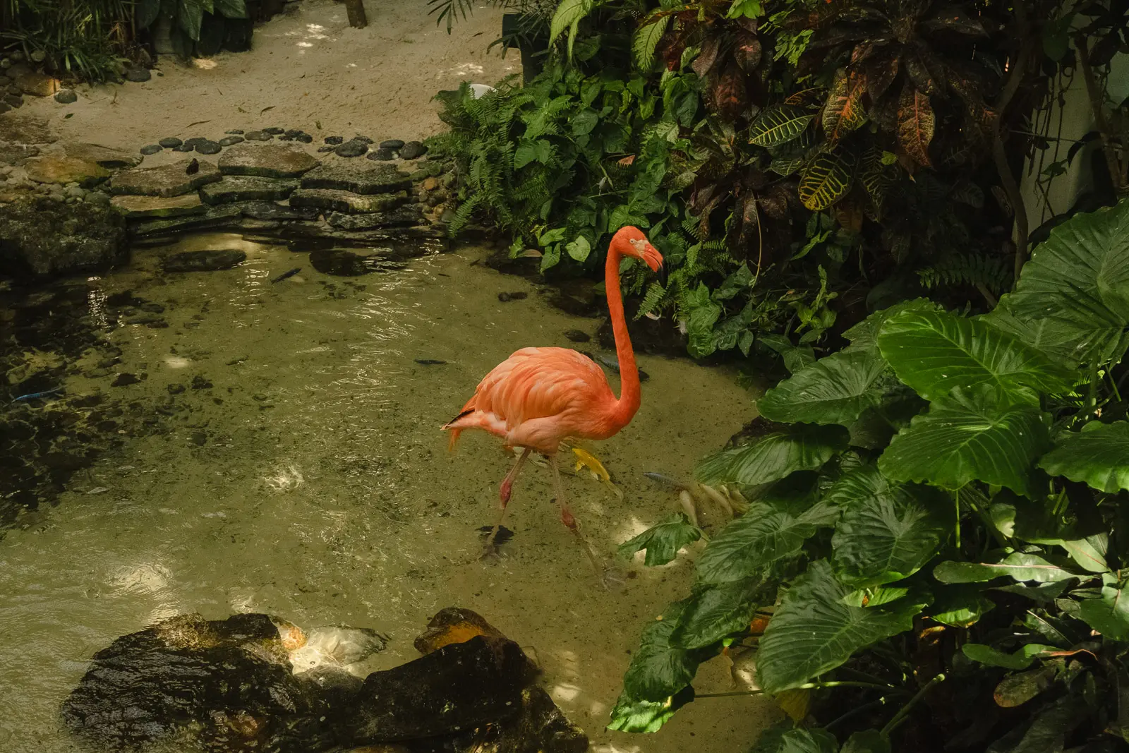 KEY WEST 2-DAY ITINERARY