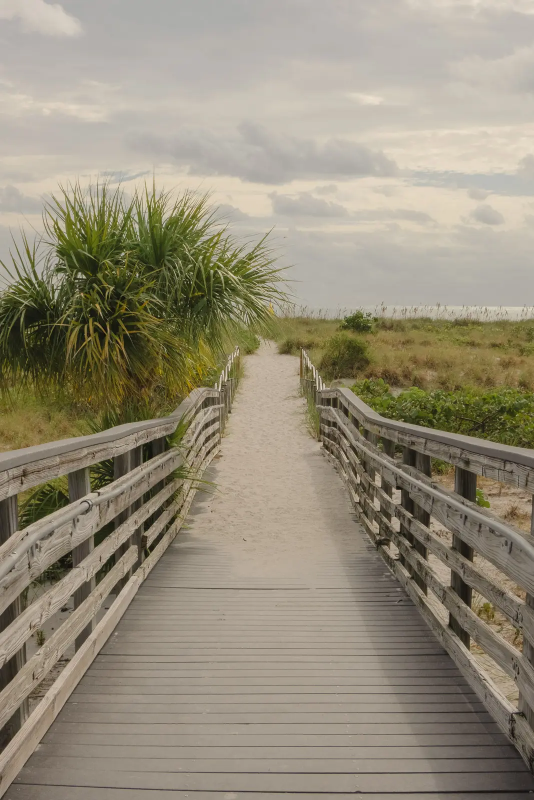 things to do in Key Biscayne