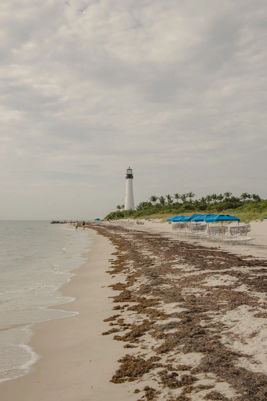things to do in Key Biscayne