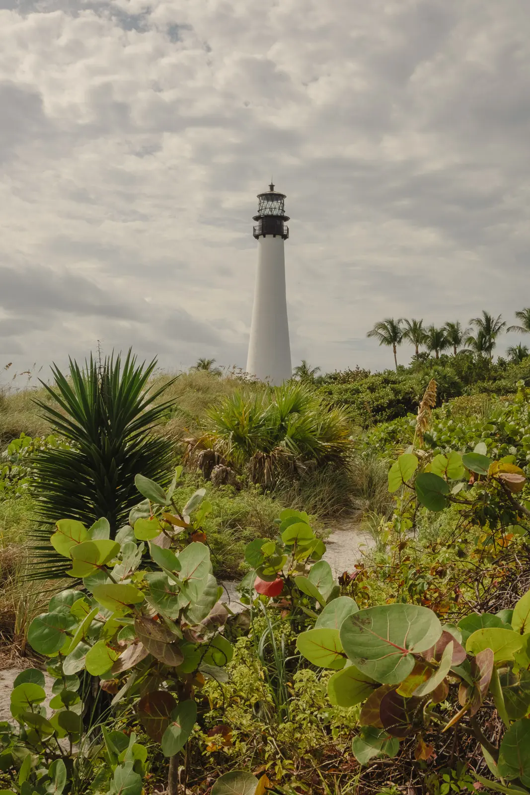 things to do in Key Biscayne
