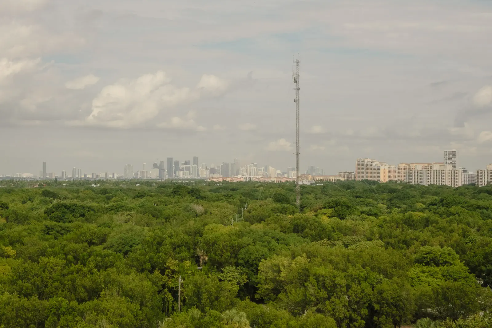 things to do in Key Biscayne
