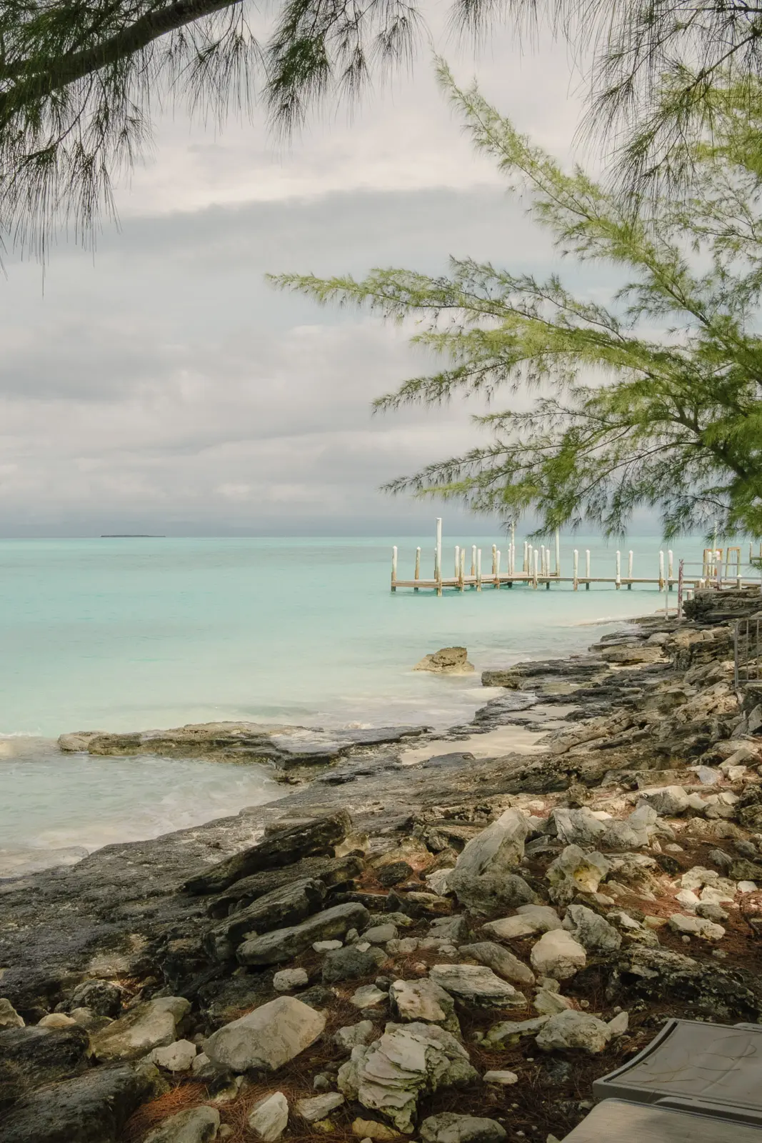 pig beach bahamas tour