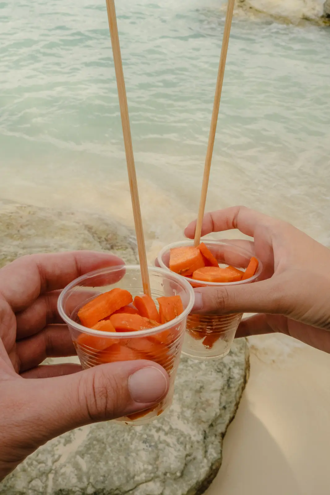 pig beach bahamas tour
