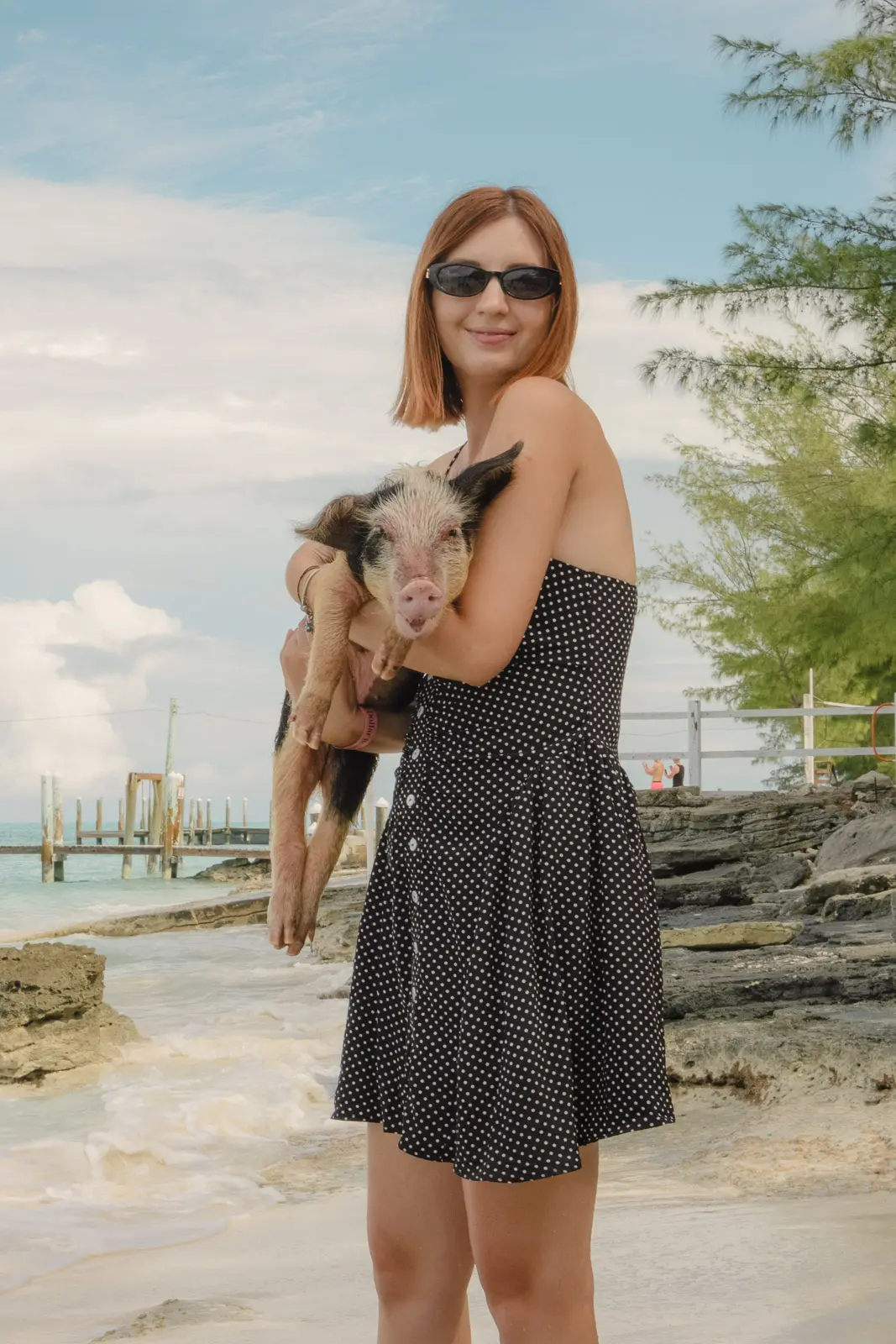 pig beach bahamas tour