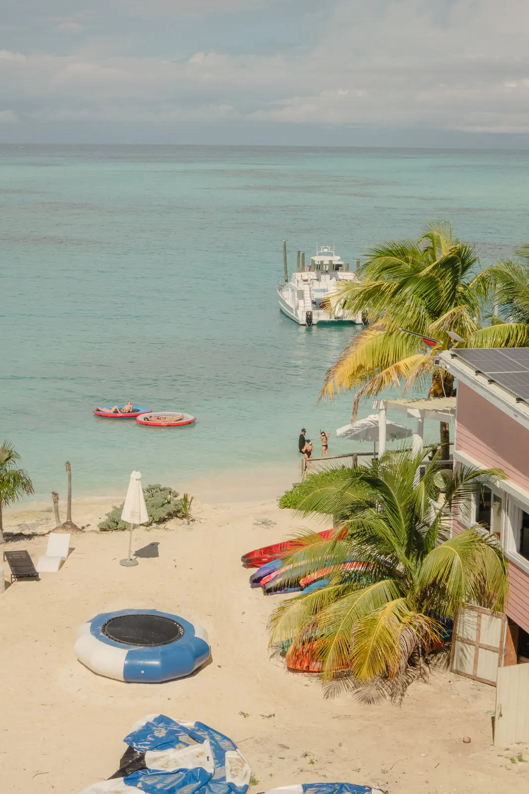 pig beach bahamas tour