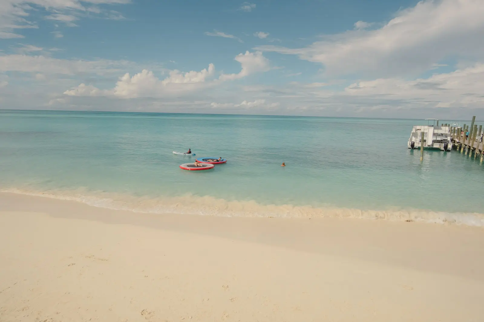 pig beach bahamas tour
