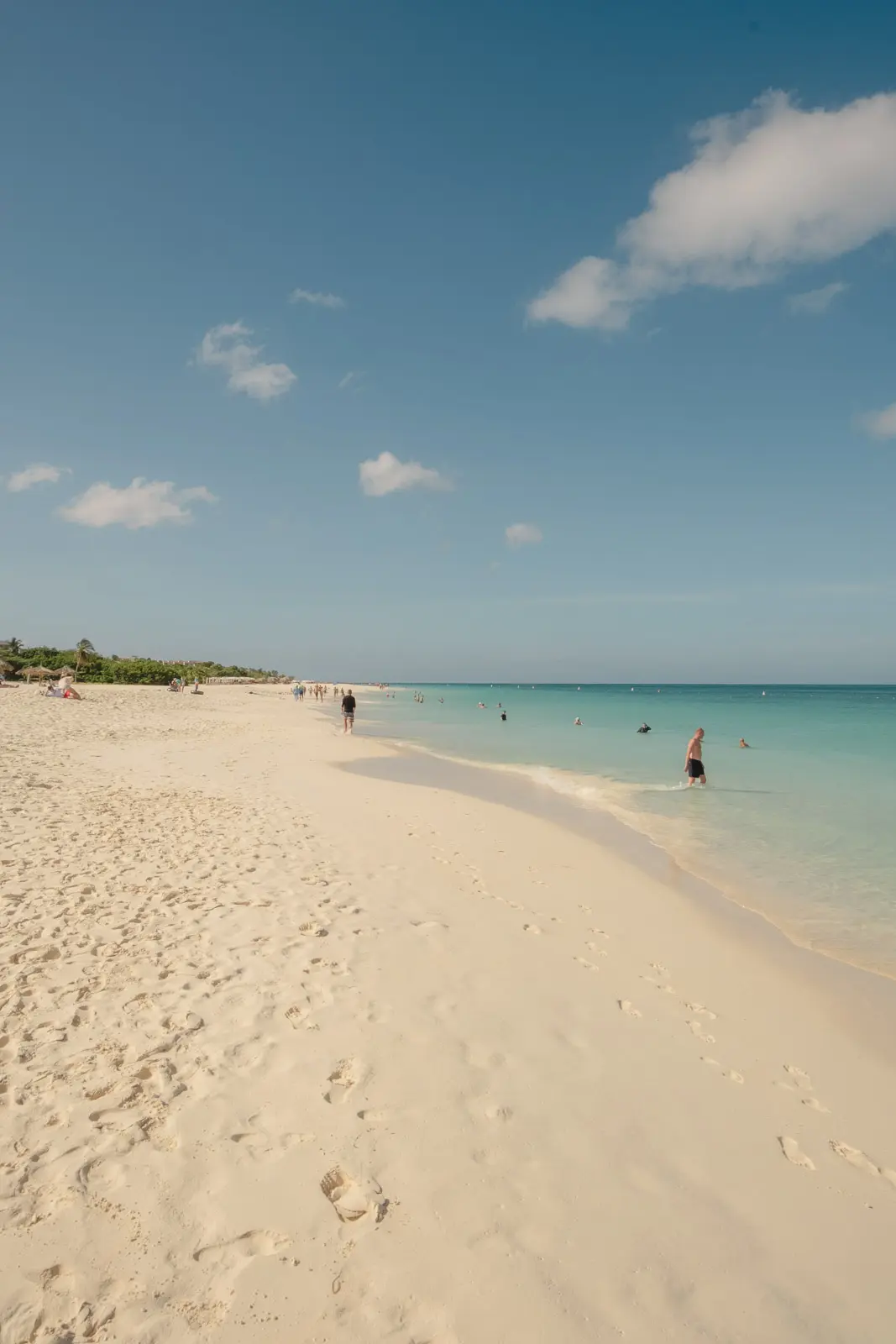 things to do in aruba
