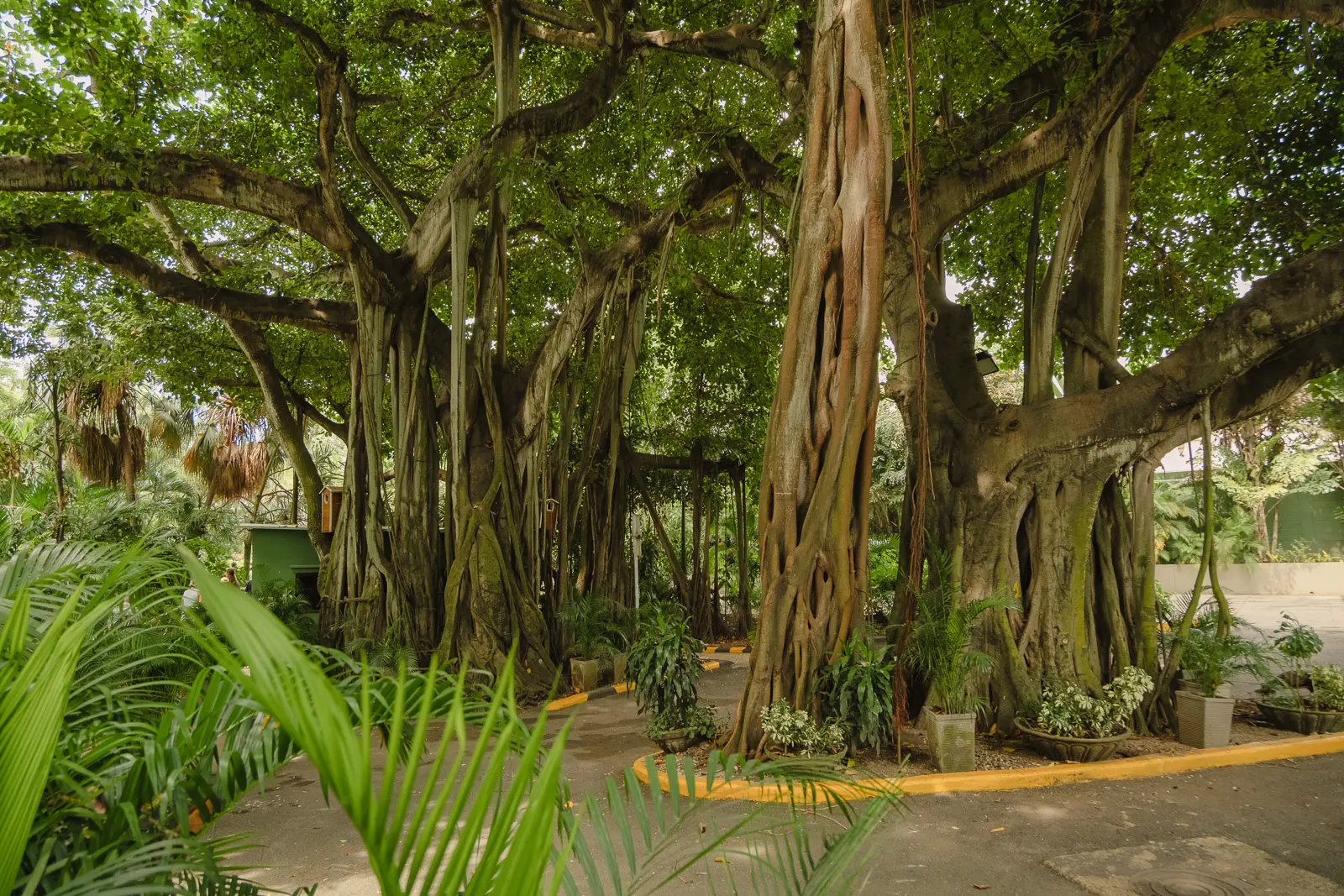 cartagena one day itinerary