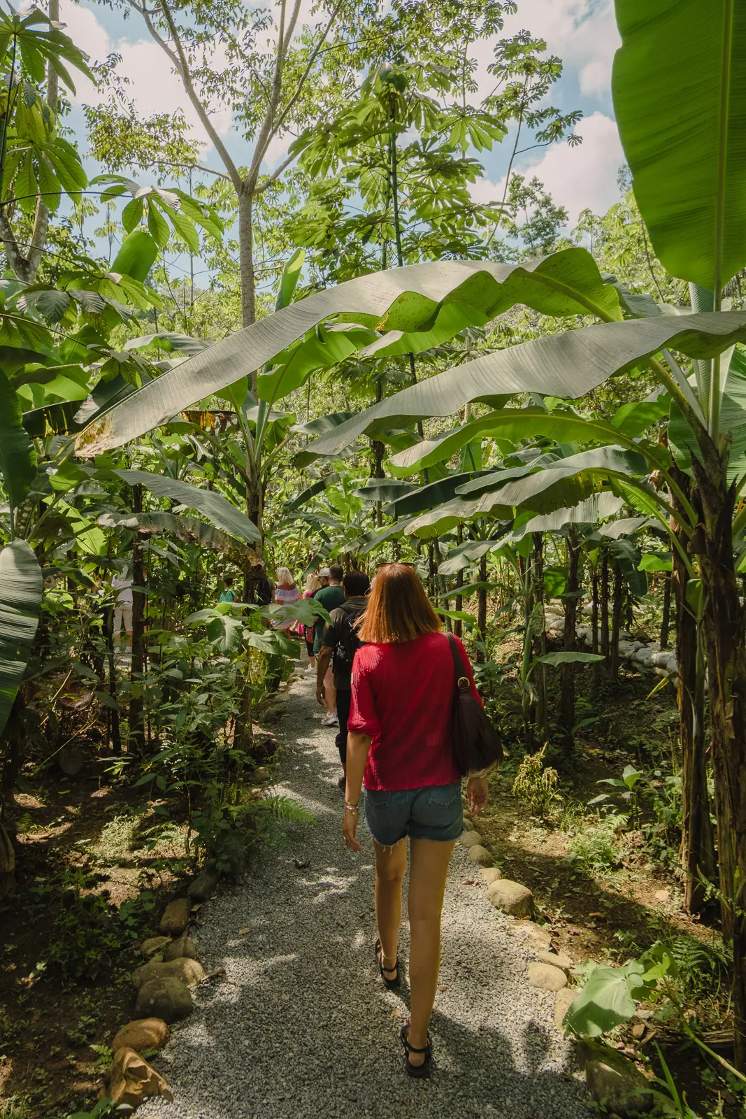 things to do in puerto limon