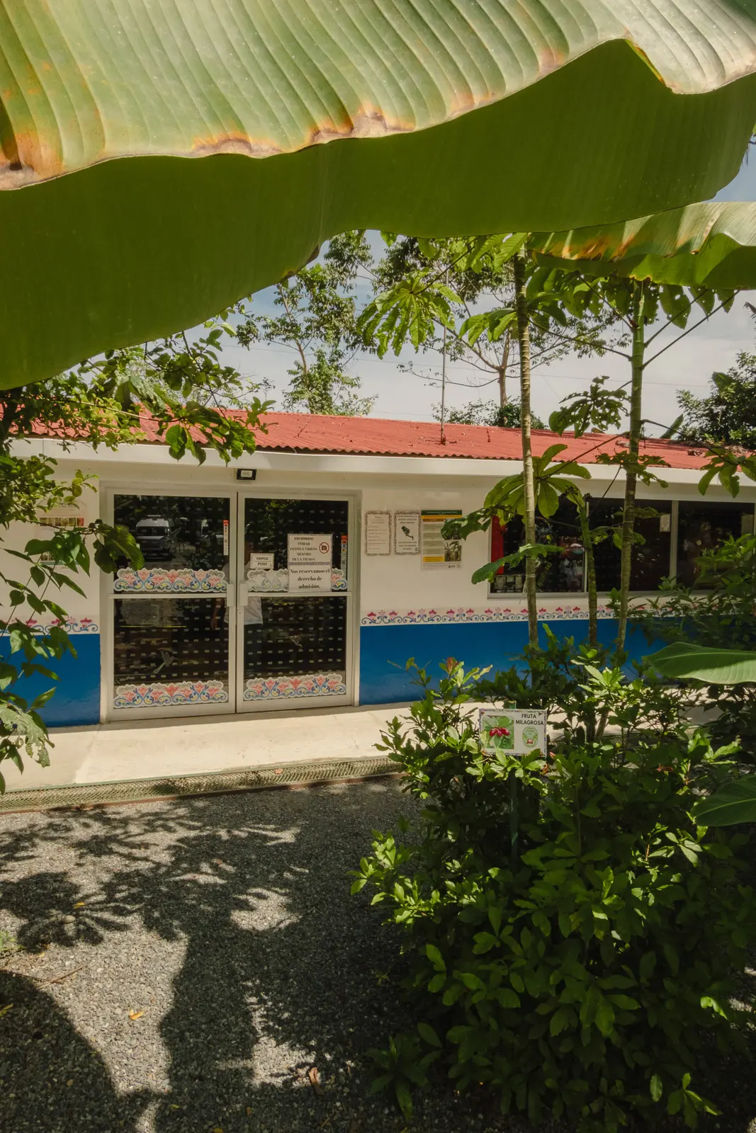 things to do in puerto limon
