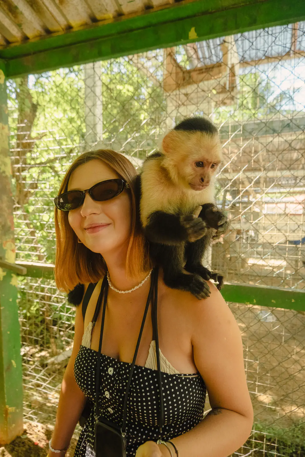 roatan things to do 