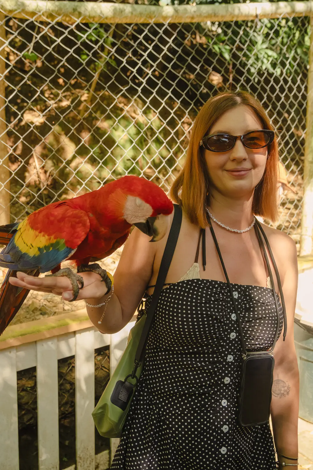 roatan things to do 