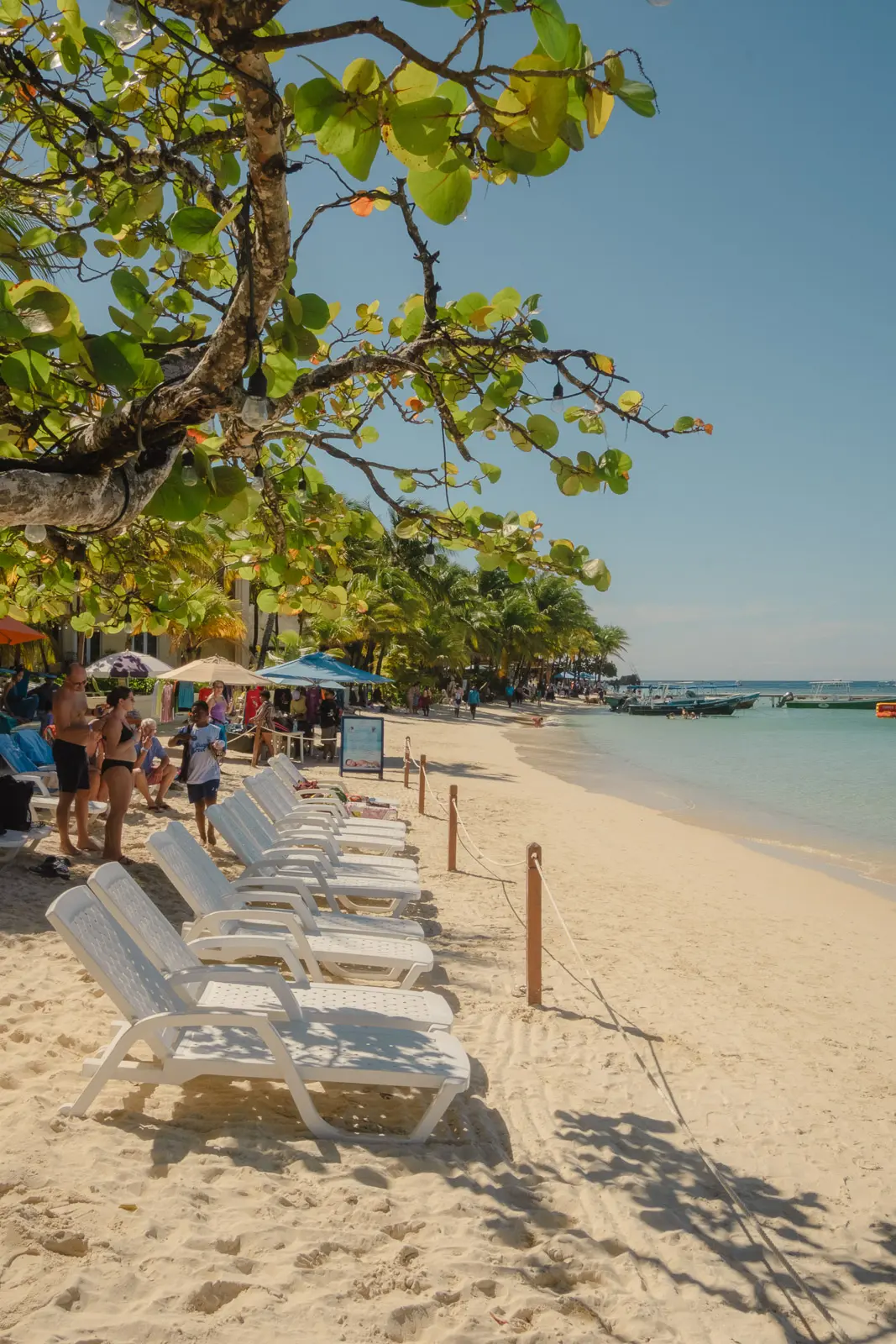 roatan things to do 