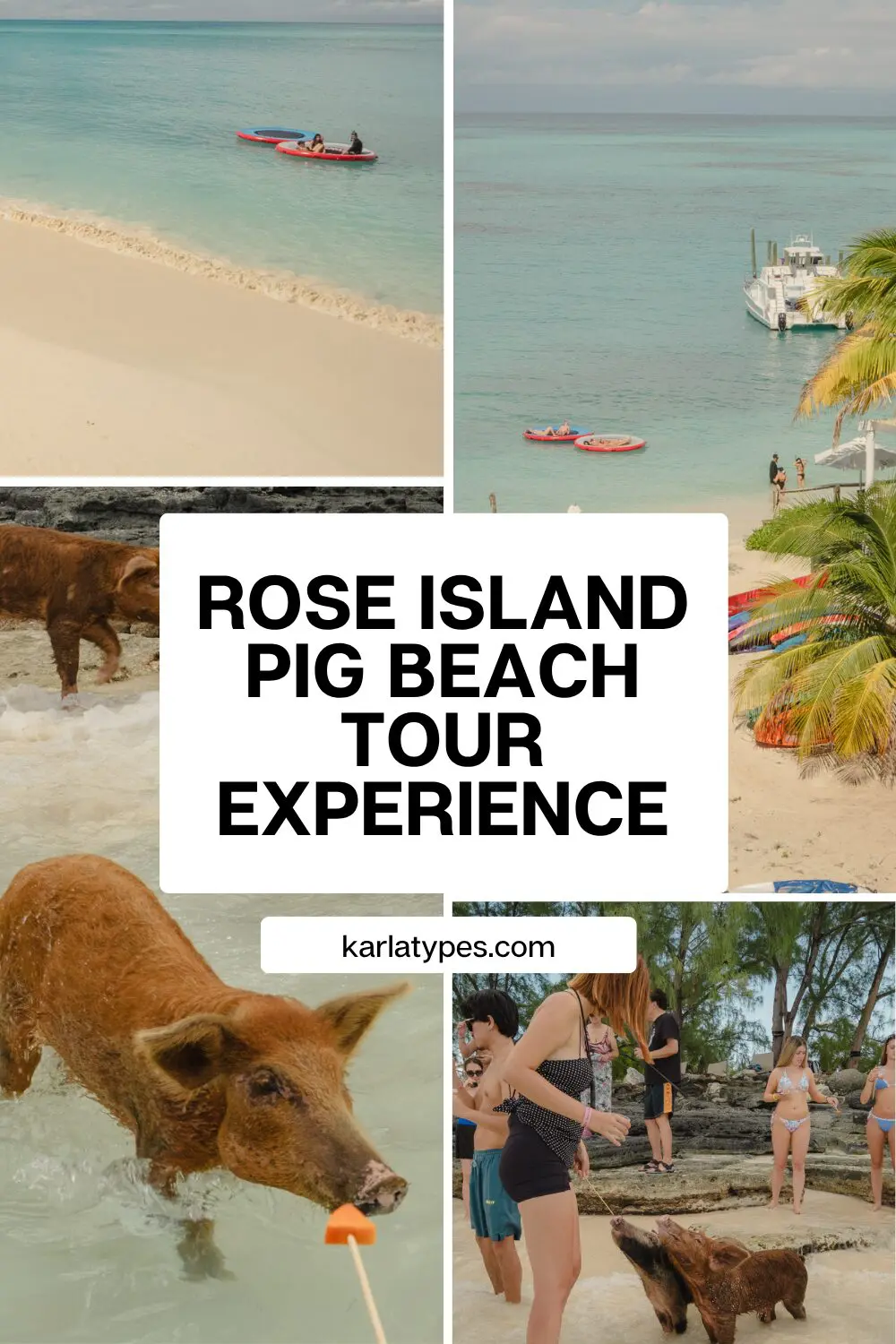 pig beach bahamas tour