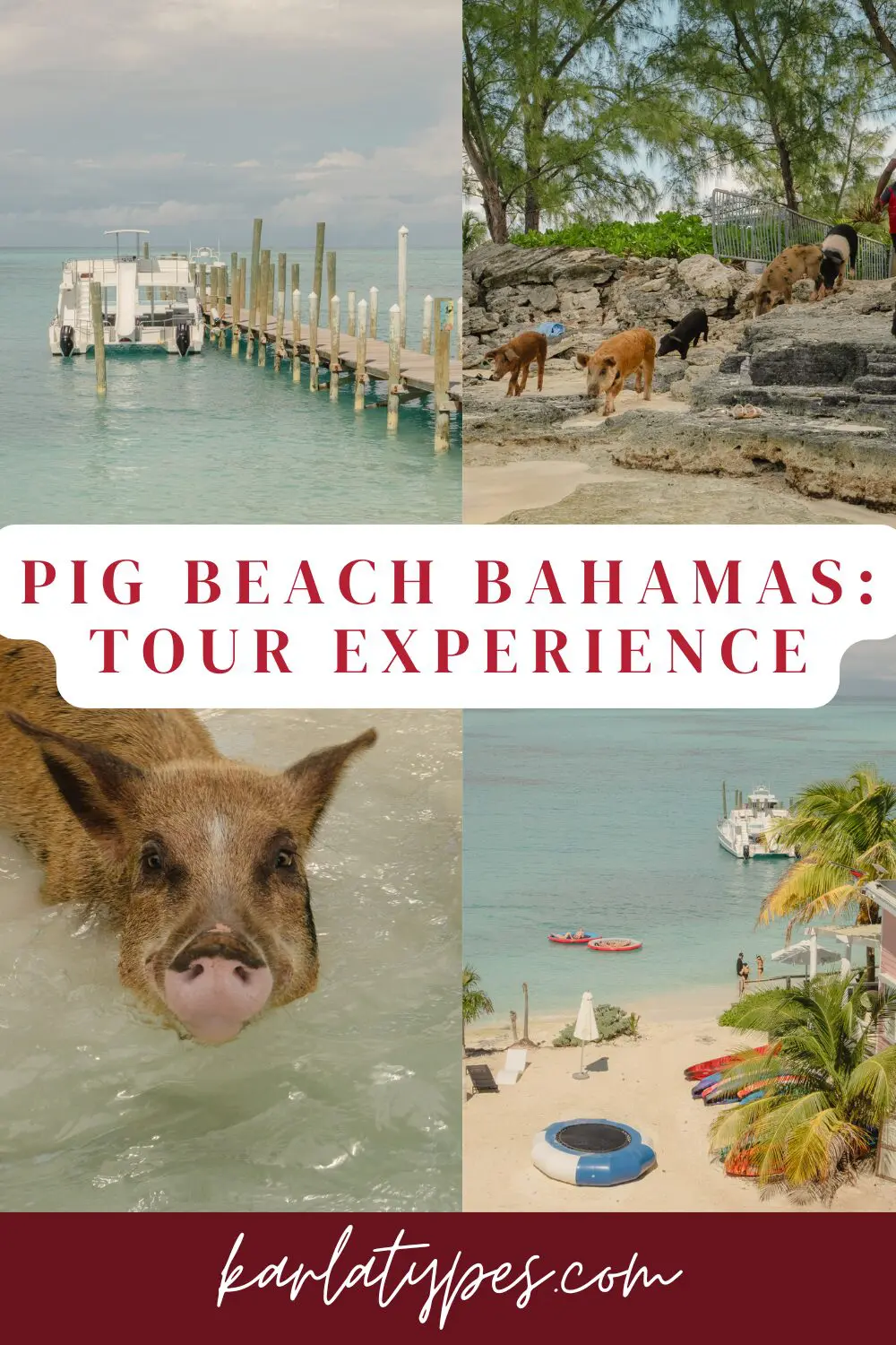 pig beach bahamas tour