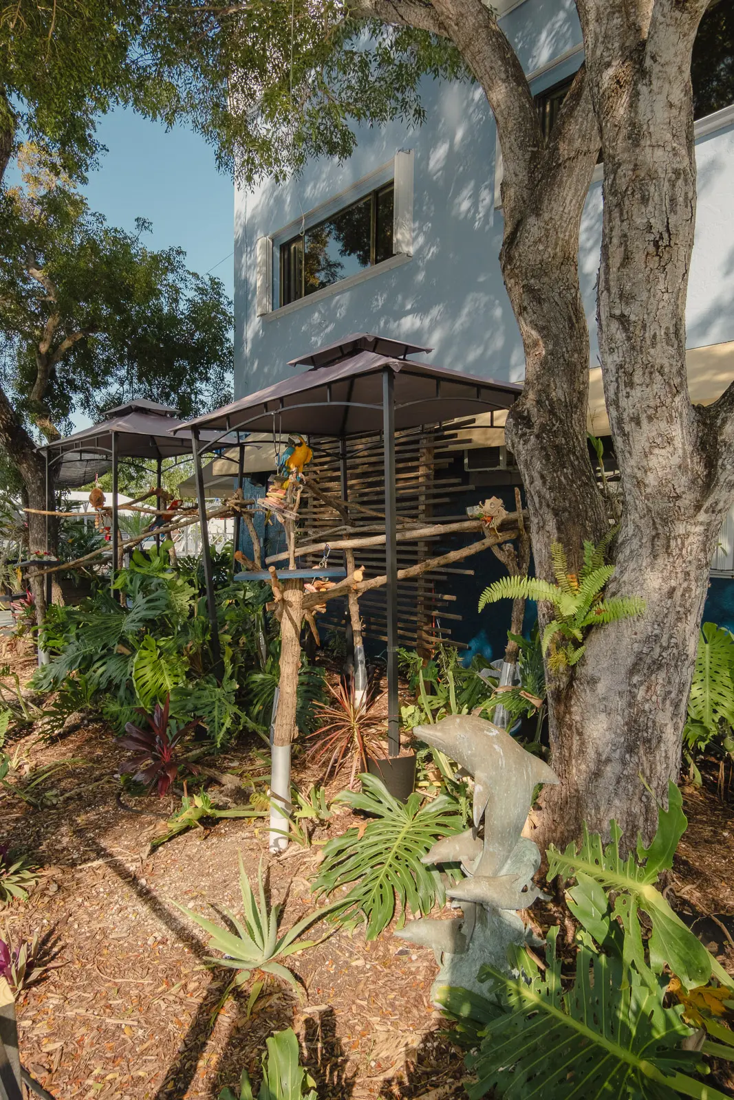 key largo dolphin experience