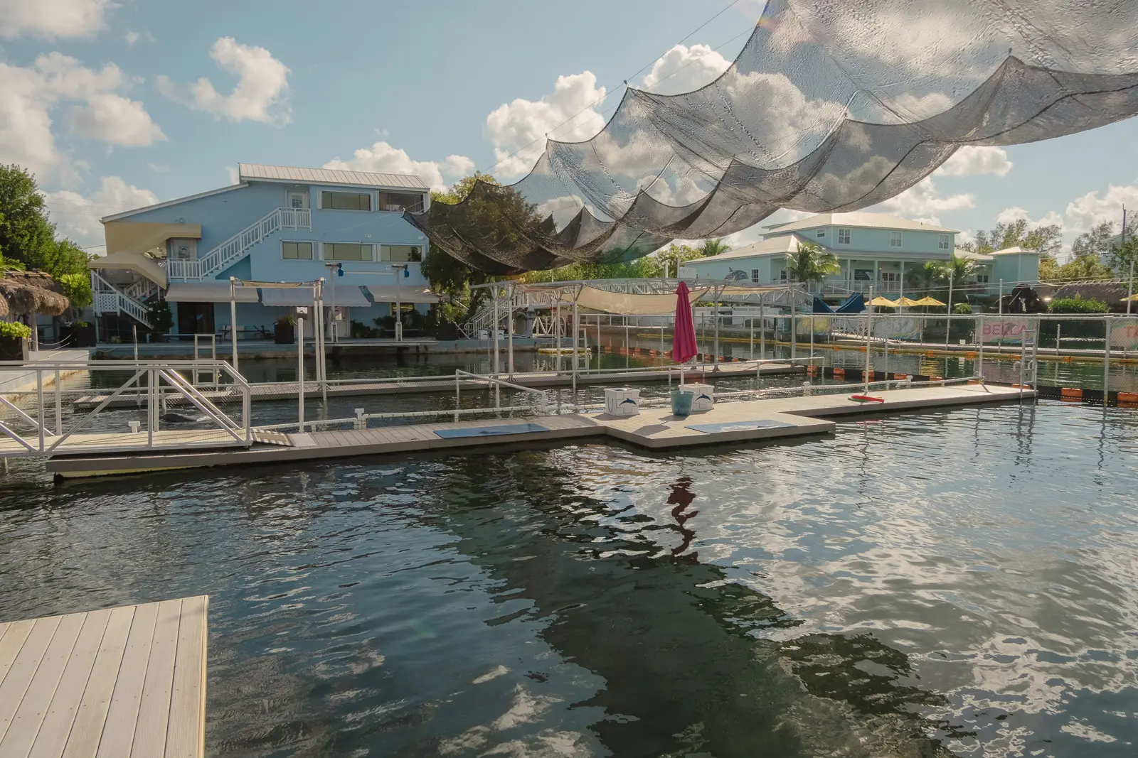 key largo dolphin experience