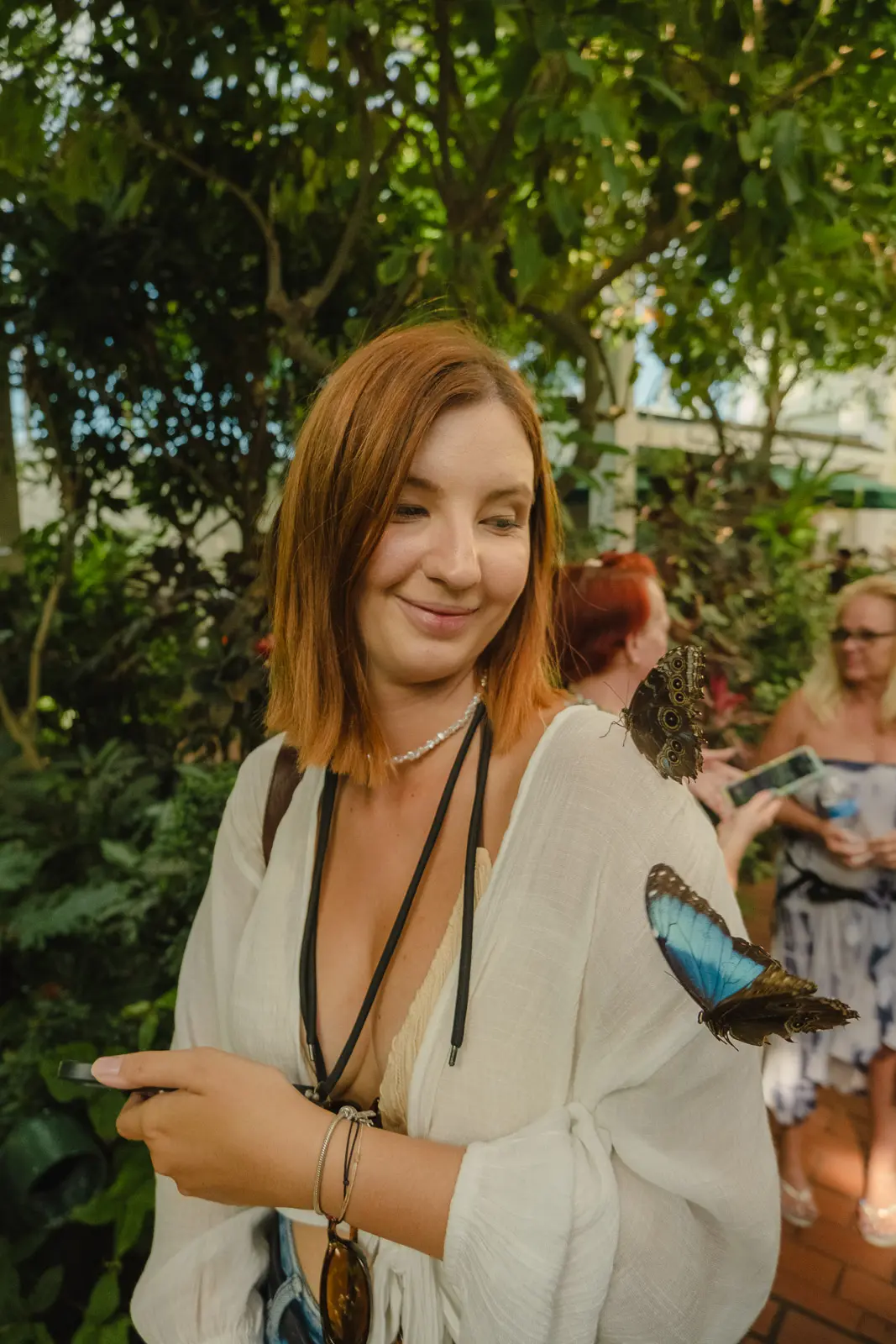 key west butterfly conservatory