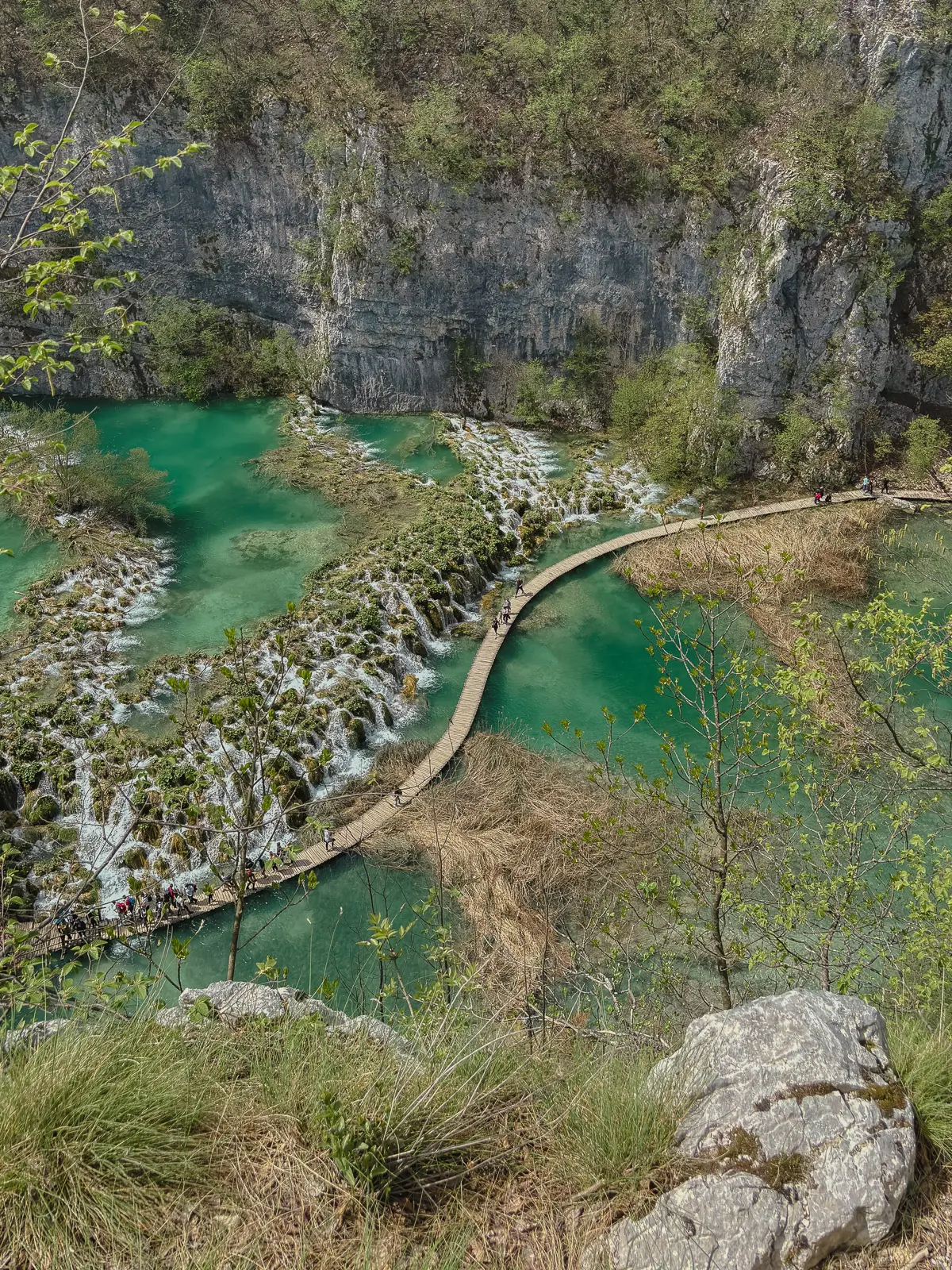 plitvice lakes from a viewpoint