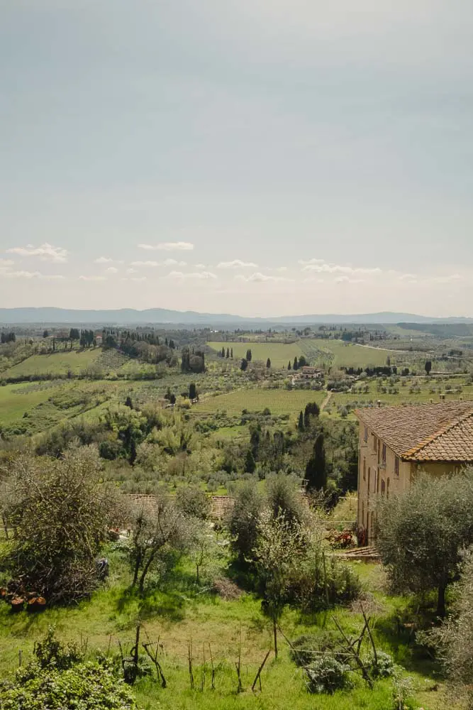 San Gimignano Countryside