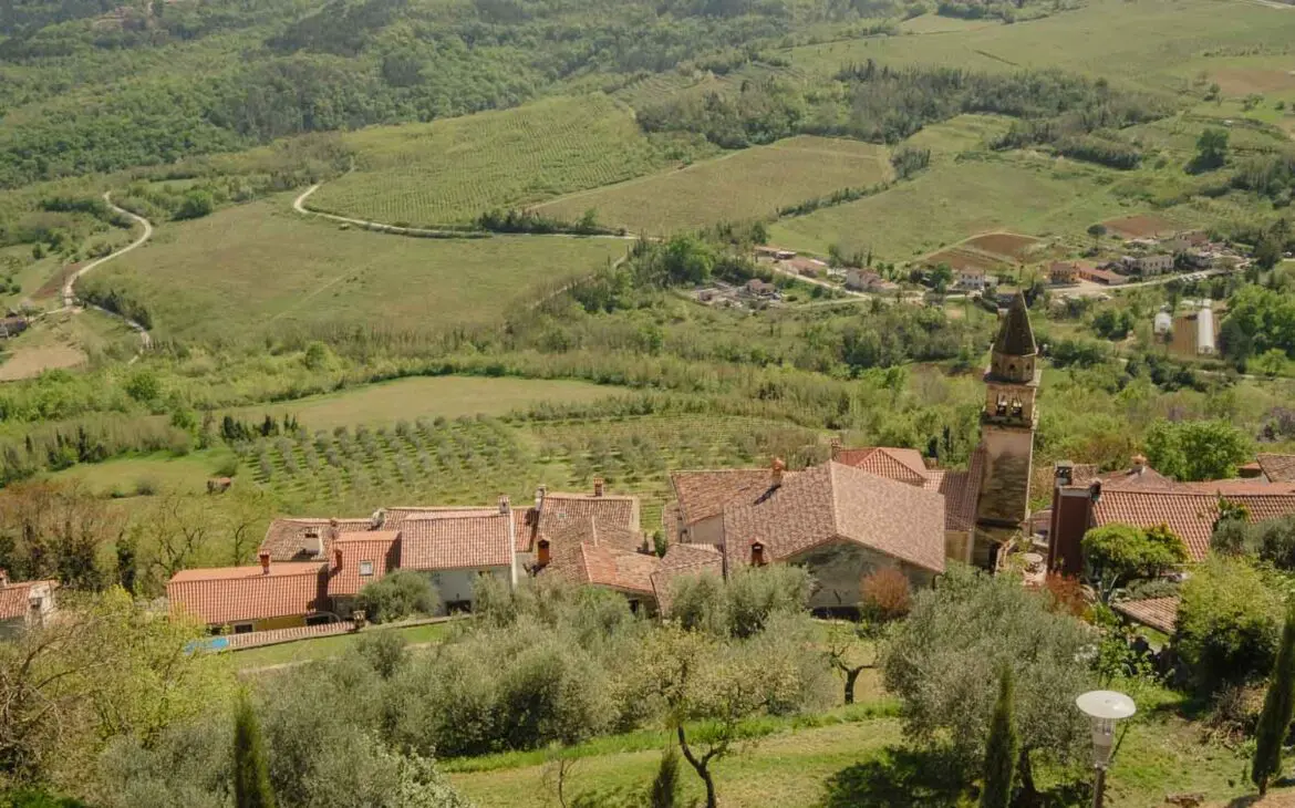best things to do in motovun