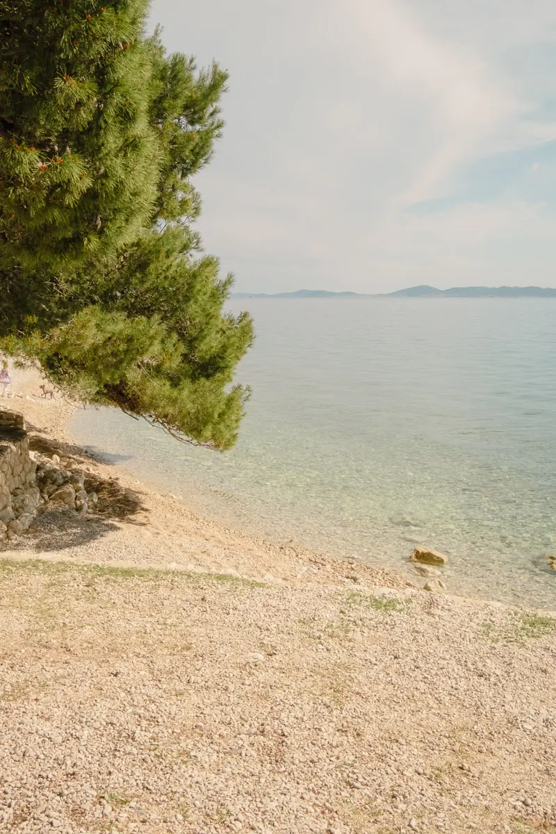 hotel pinija review