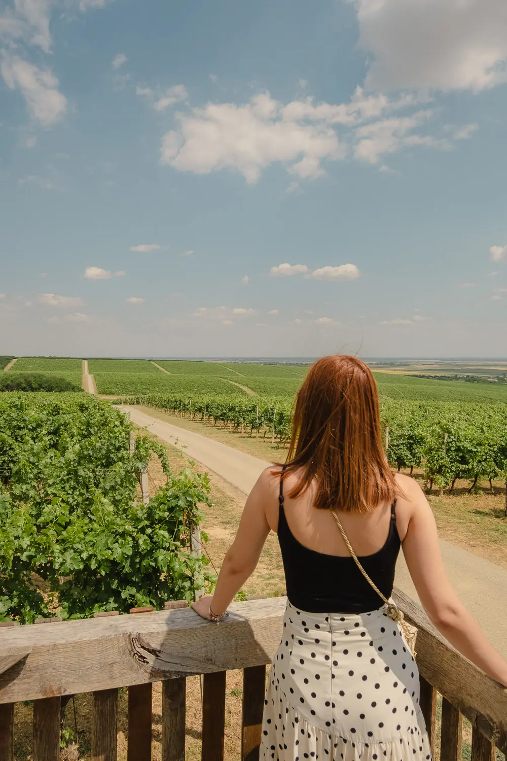7 days in slavonia and baranja
