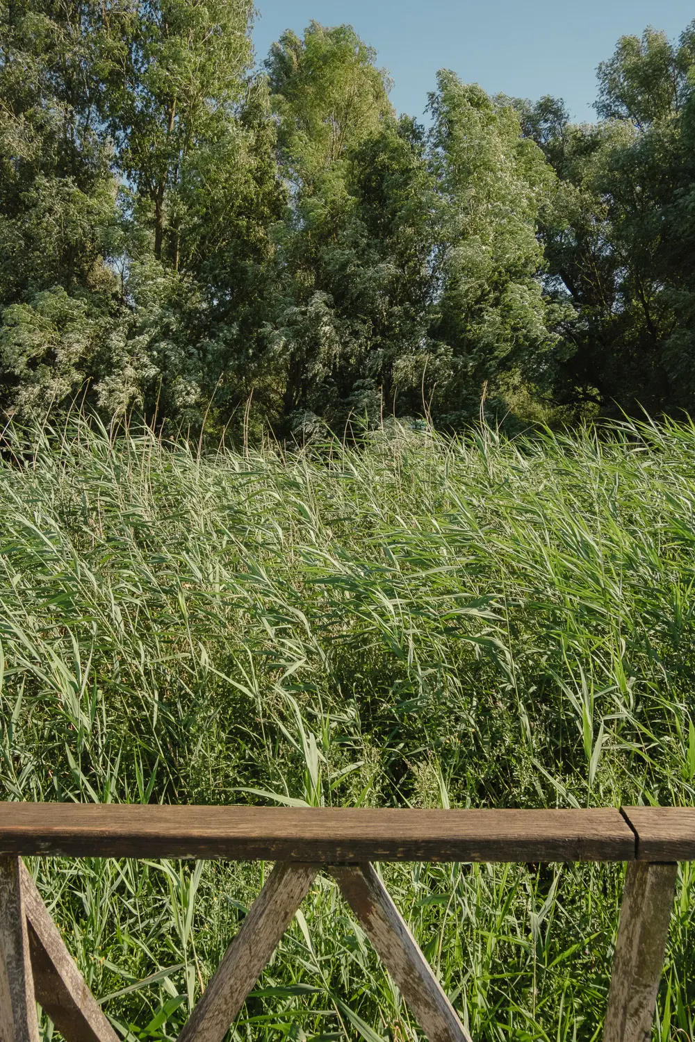kopacki rit nature park