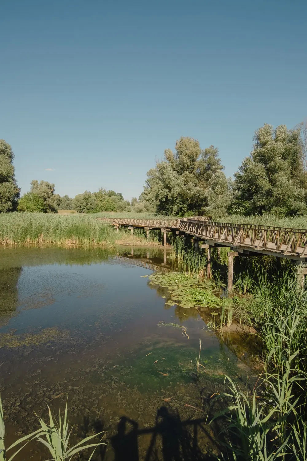 7 days in slavonia and baranja