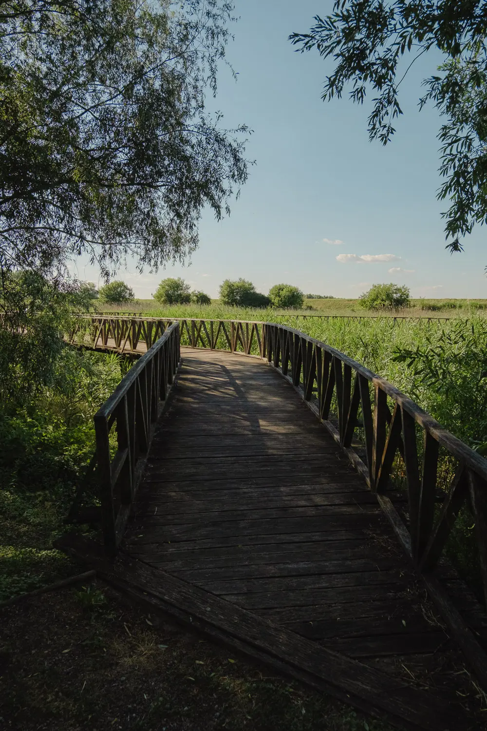 kopacki rit nature park