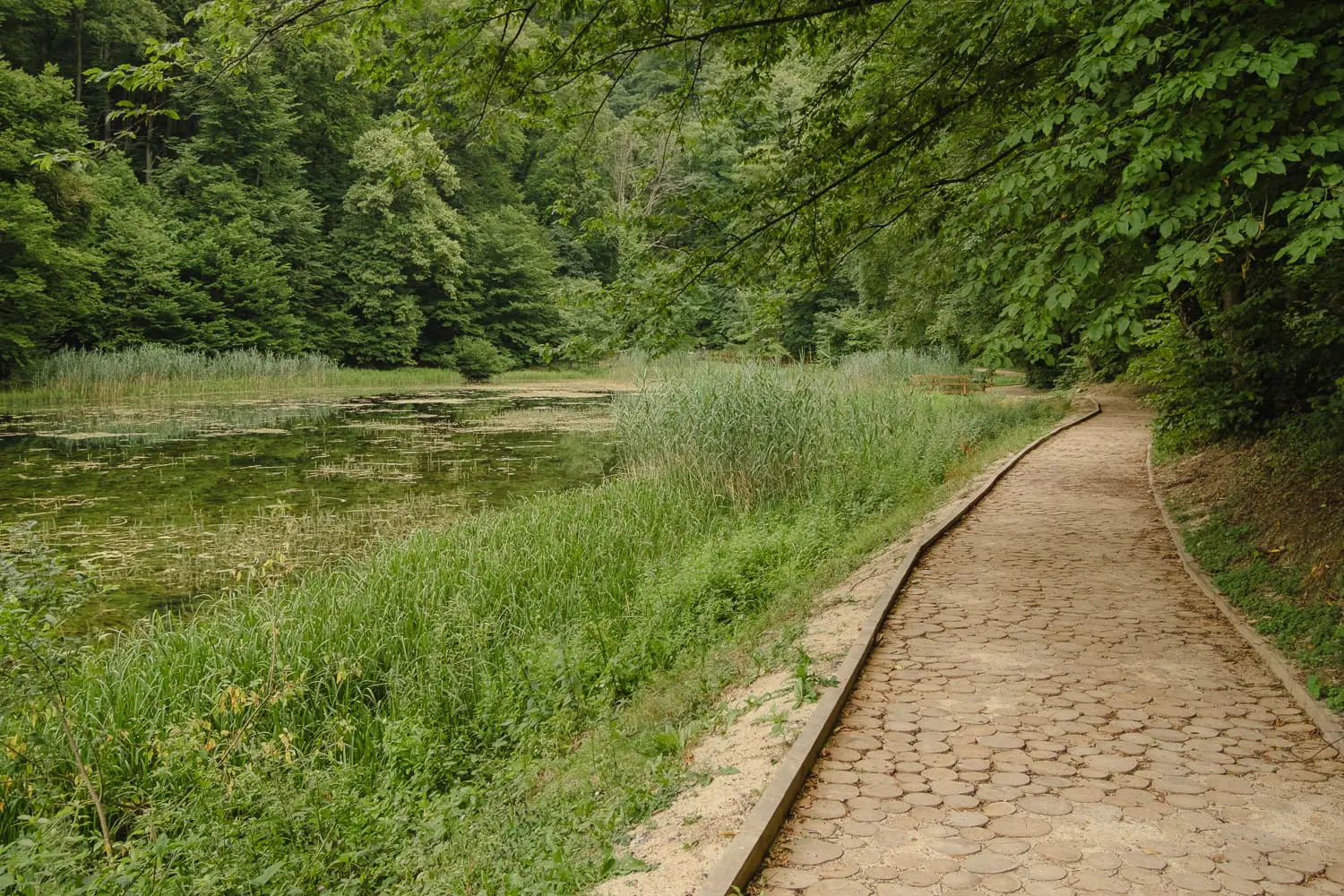 PAPUK NATURE PARK