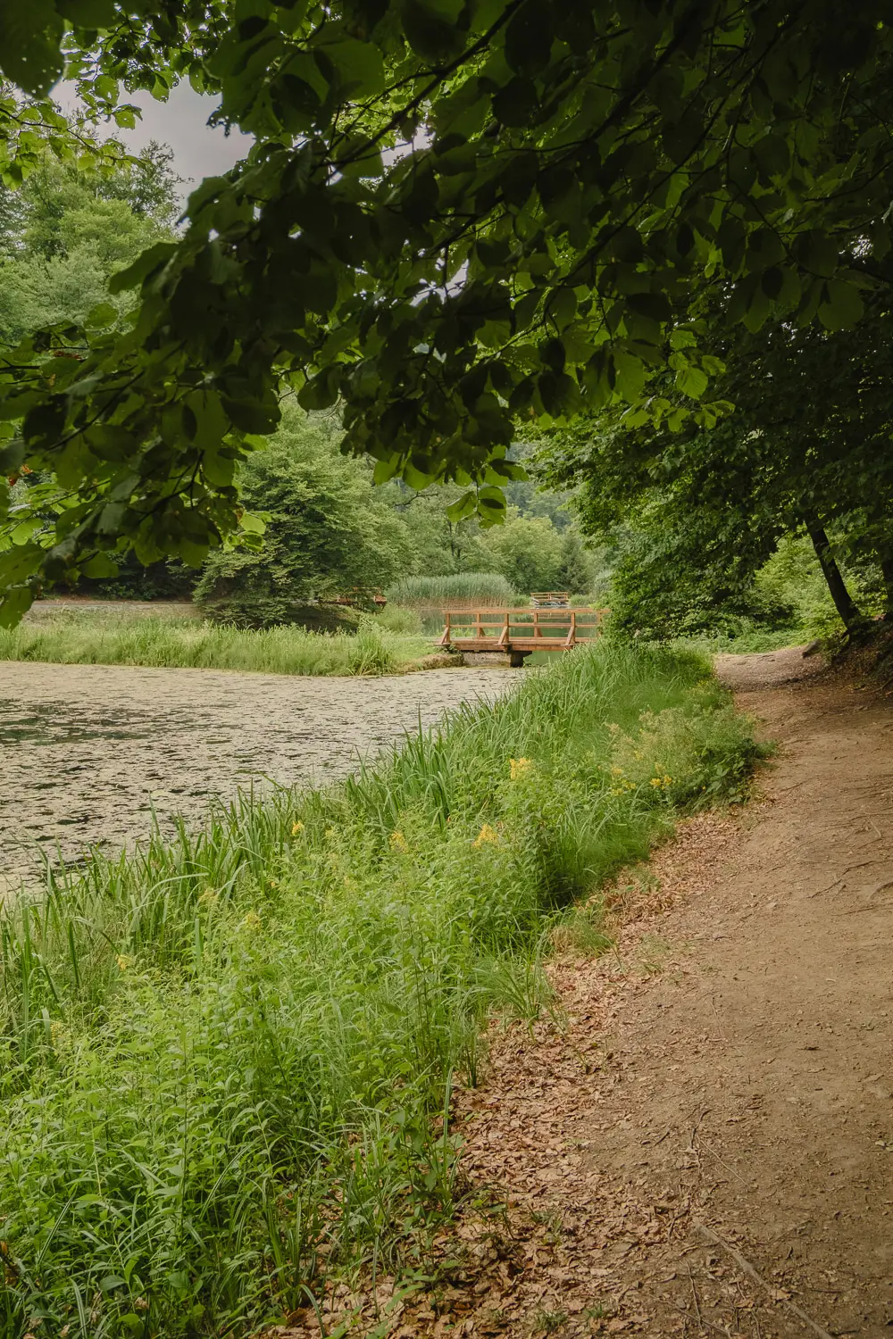 PAPUK NATURE PARK