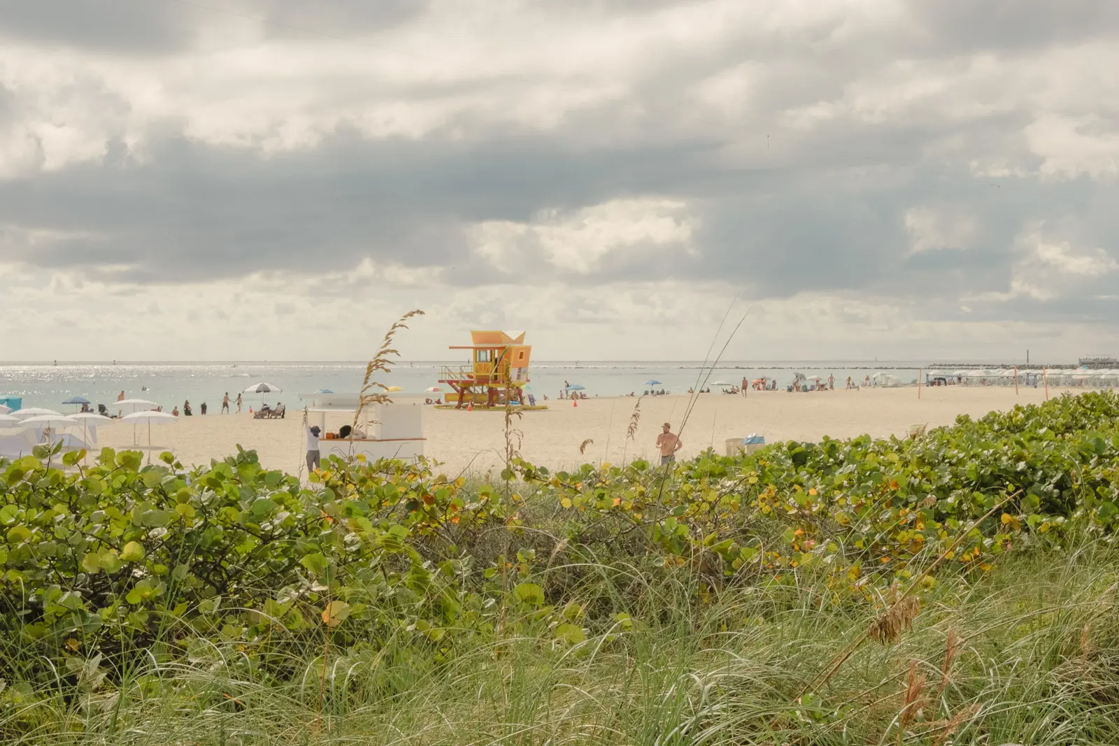 miami beach