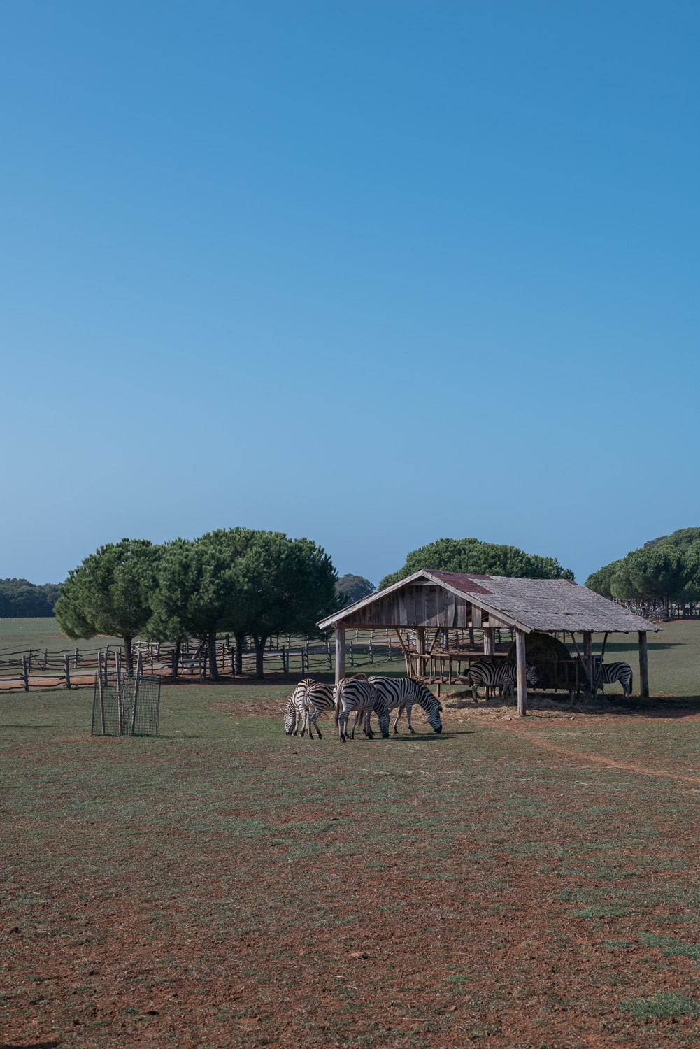 TOP 5 NATIONAL PARKS in croatia