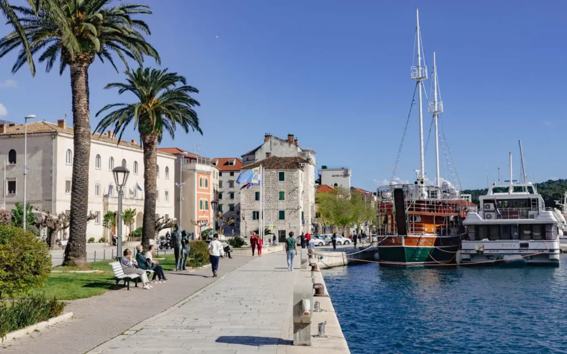 Scenic waterfront with palm trees.