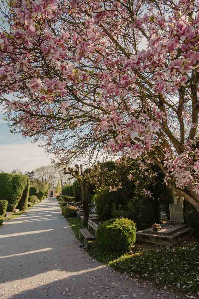 things to see in varazdin