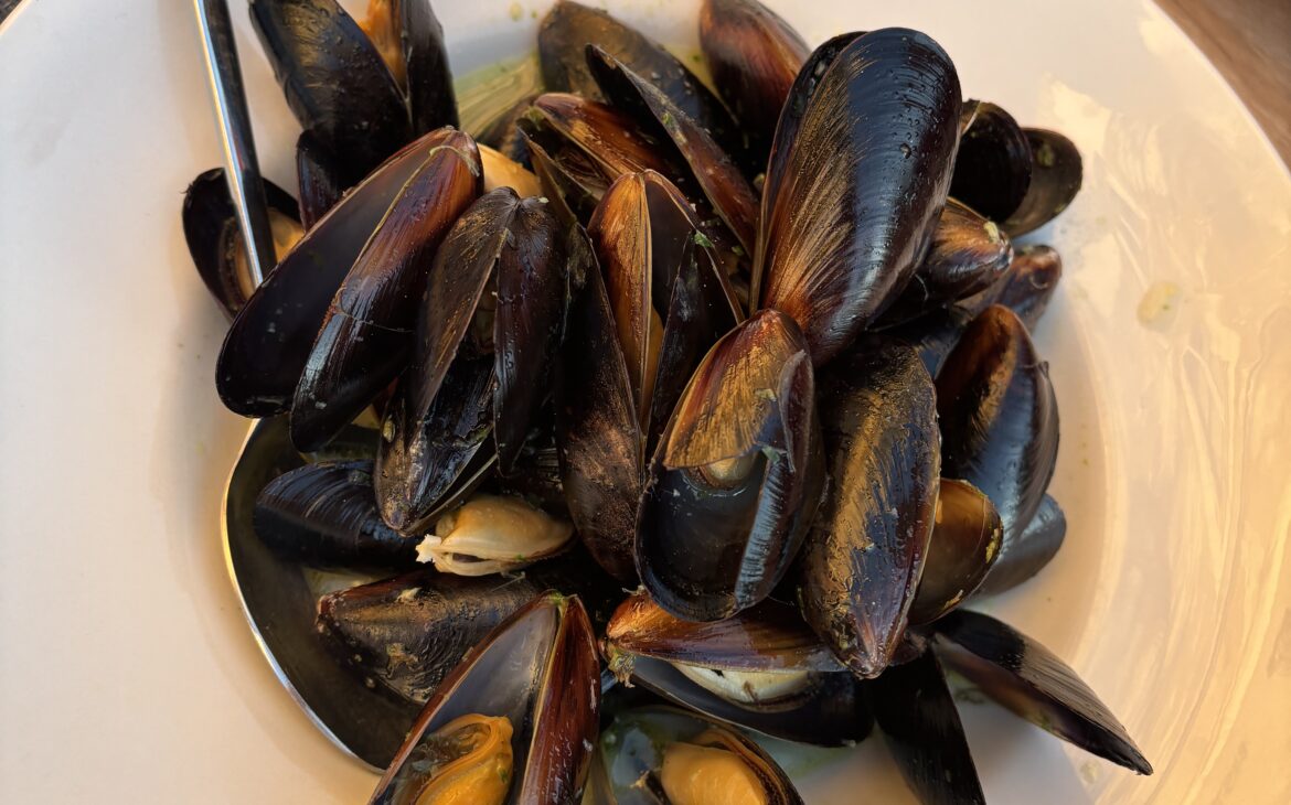 croatian food mussles